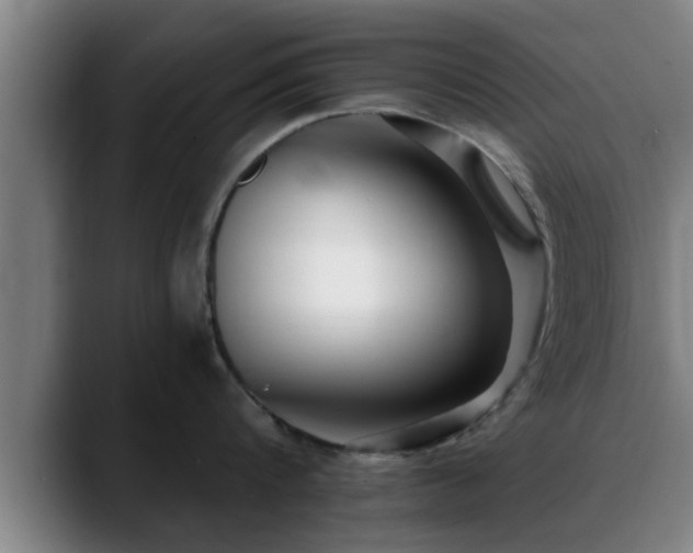 X0000088840816200706141537