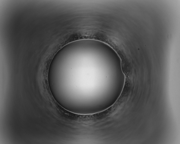 X0000088840817200706141537