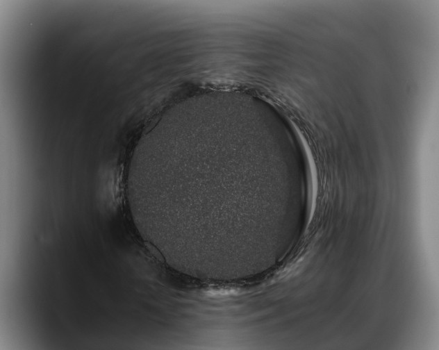 X0000088840818200706141537