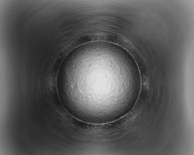 X0000088840819200706141537