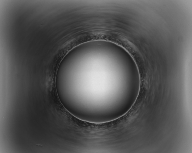 X0000088840821200706141537