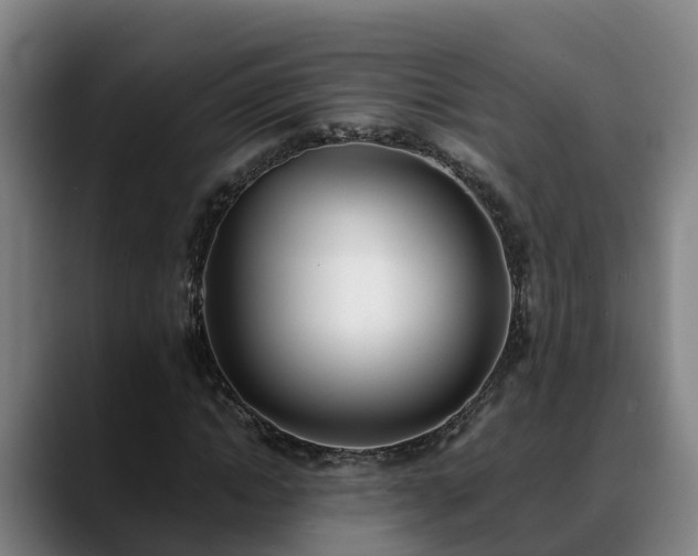 X0000088840822200706141537