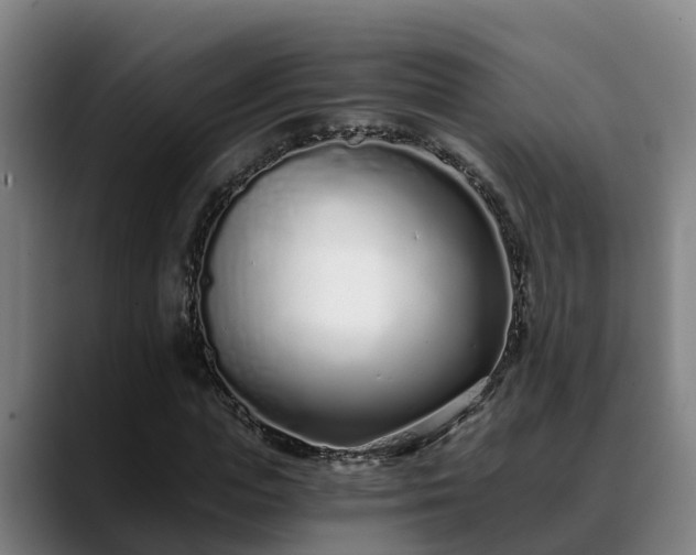 X0000088840823200706141537