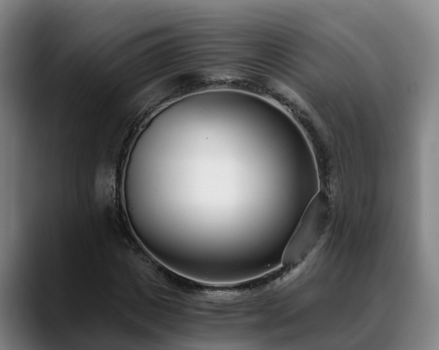 X0000088840825200706141537