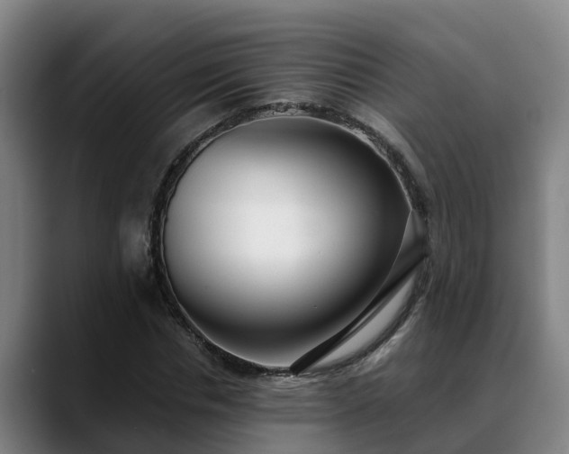 X0000088840826200706141537