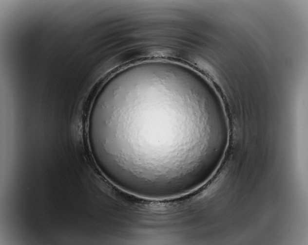 X0000088840827200706141537