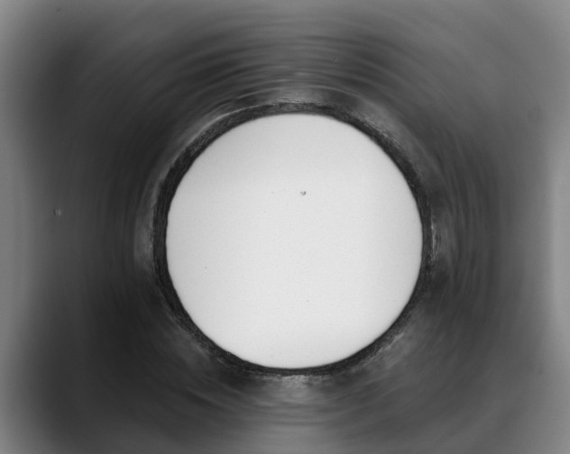 X0000088840828200706141537