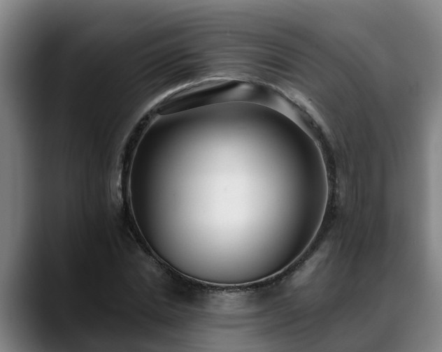 X0000088840830200706141537