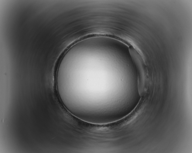 X0000088840837200706141537