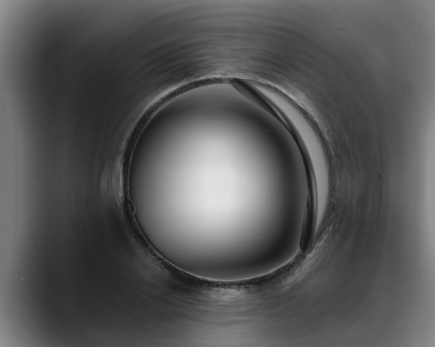 X0000088840838200706141537