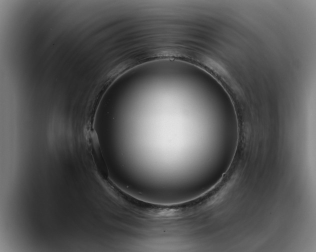 X0000088840841200706141537