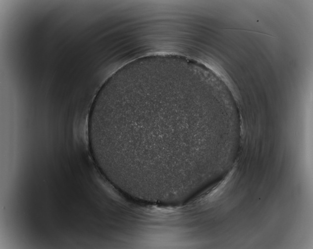 X0000088840842200706141537