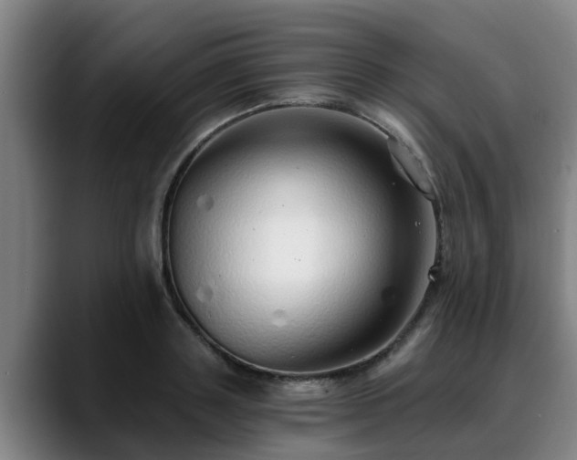 X0000088840843200706141537