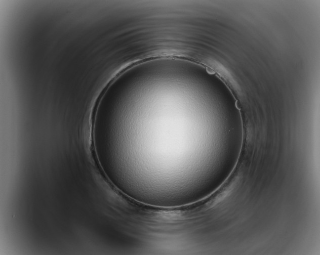 X0000088840844200706141537