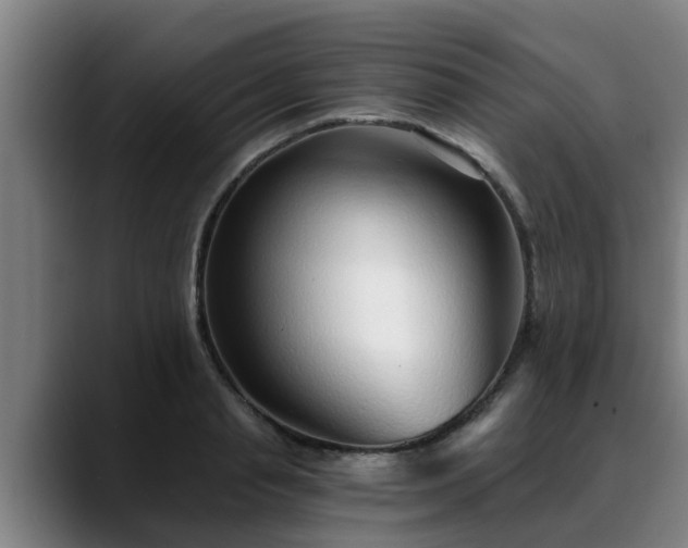 X0000088840845200706141537