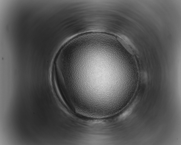 X0000088840846200706141537