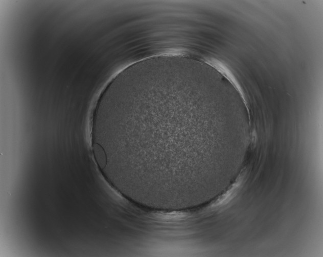 X0000088840851200706141537