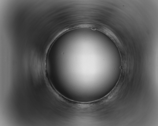 X0000088840852200706141537