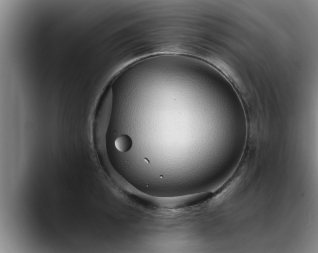 X0000088840854200706141537