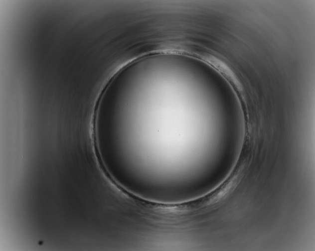 X0000088840855200706141537