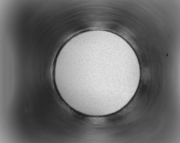 X0000088840856200706141537