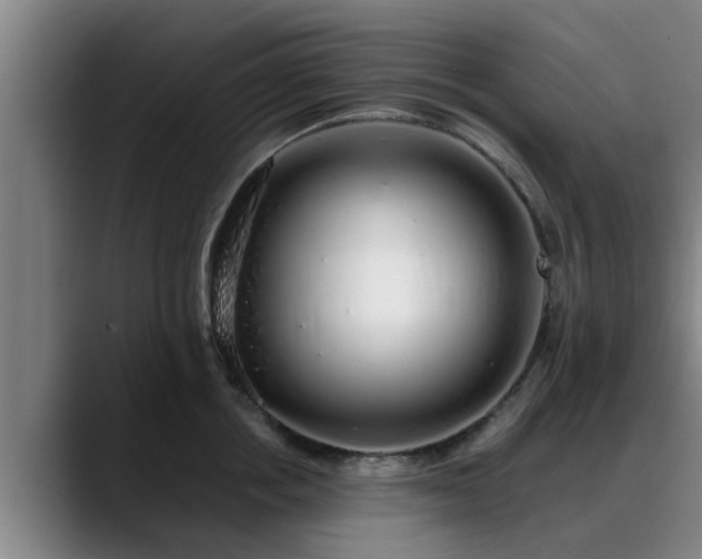 X0000088840858200706141537