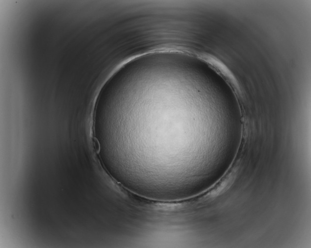 X0000088840860200706141537