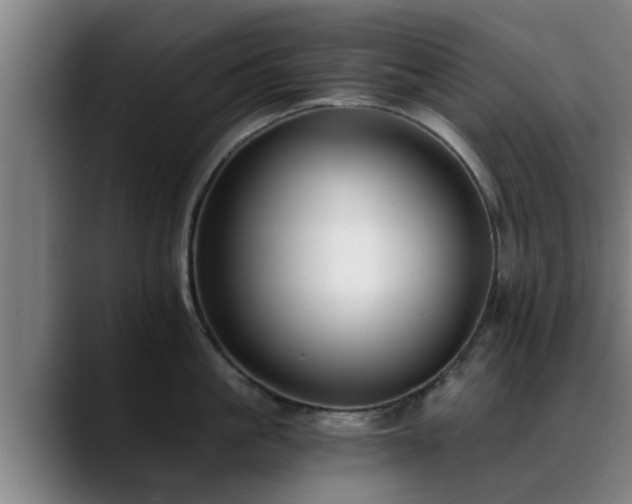 X0000088840861200706141537