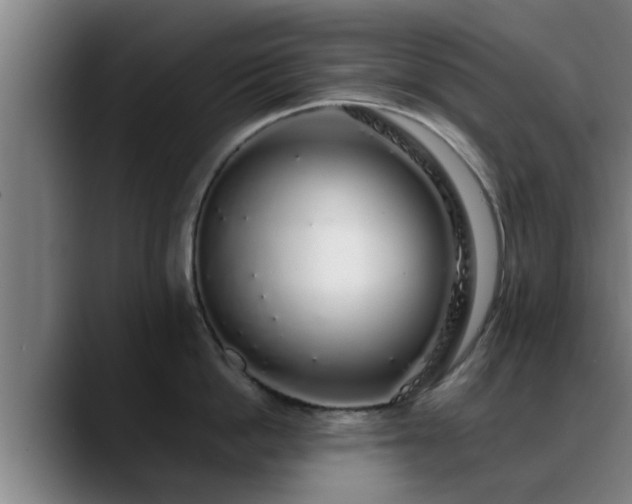 X0000088840862200706141537