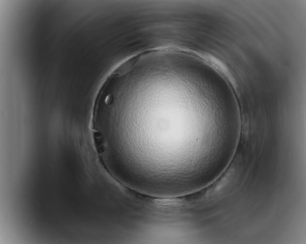 X0000088840863200706141537