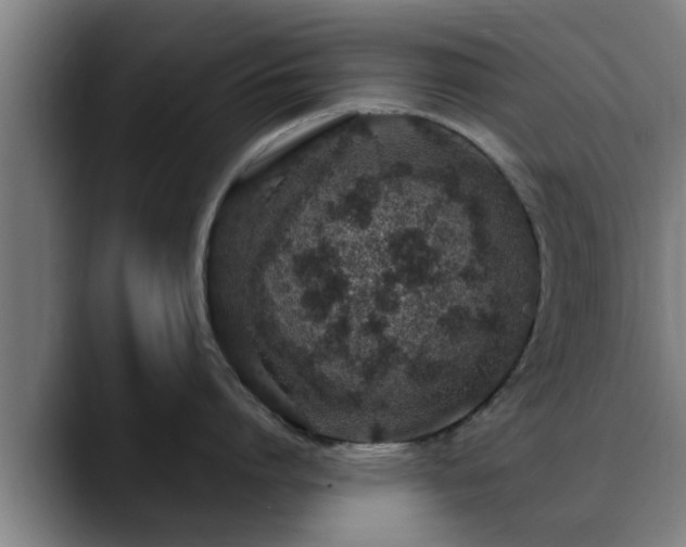 X0000088840864200706141537