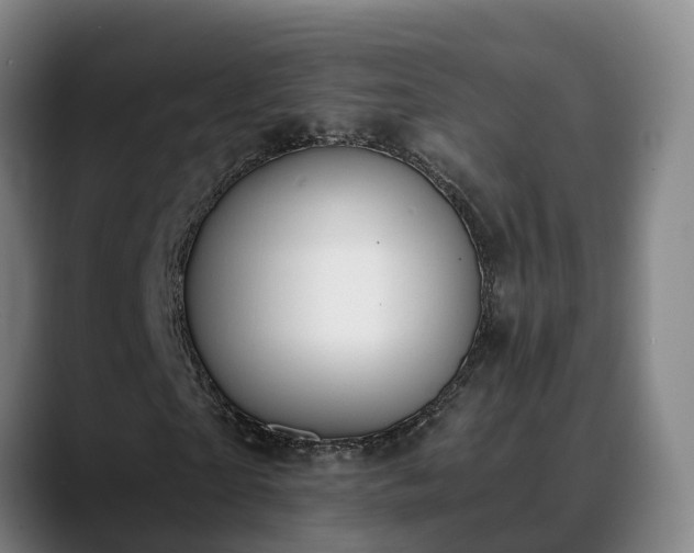 X0000088840865200706141537