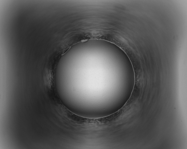 X0000088840866200706141537