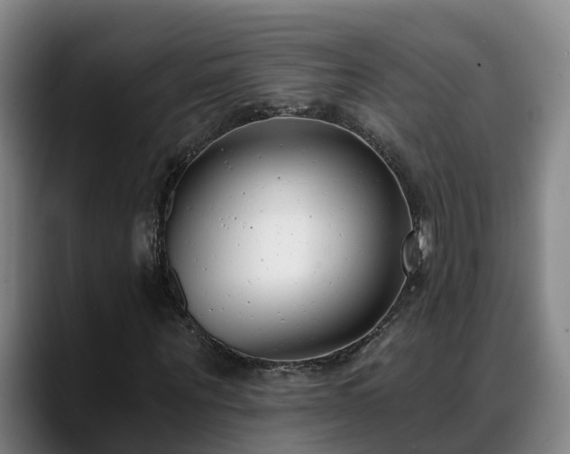 X0000088840867200706141537