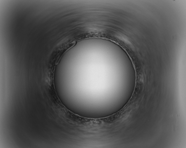 X0000088840869200706141537