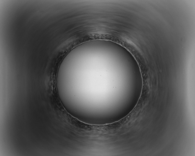 X0000088840870200706141537