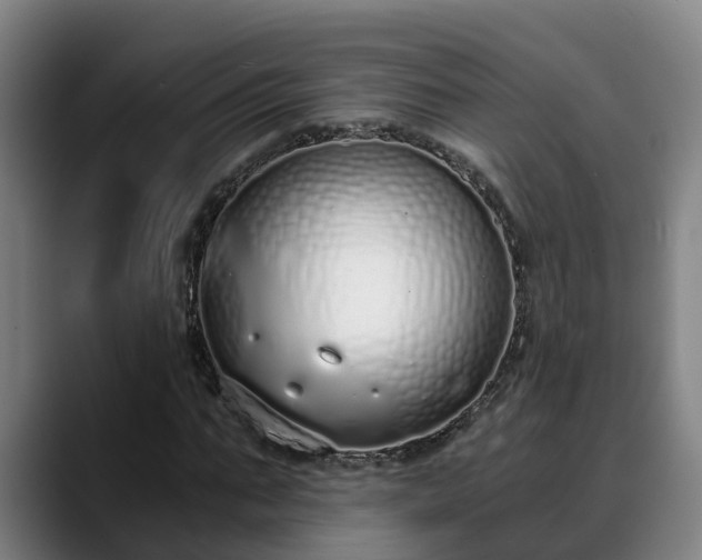 X0000088840871200706141537