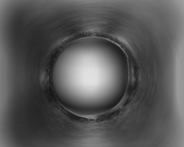 X0000088840872200706141537