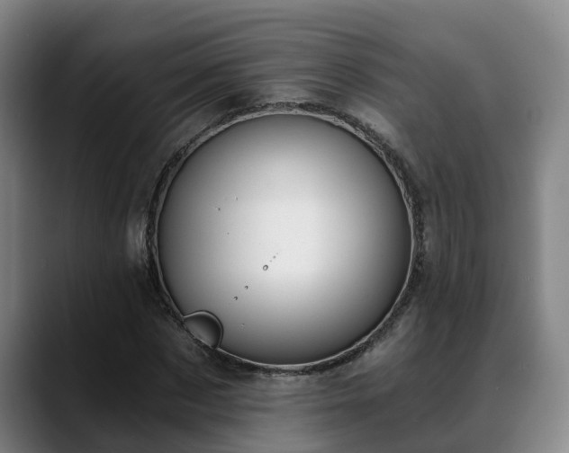 X0000088840873200706141537