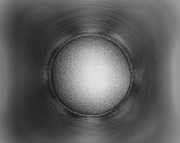 X0000088840874200706141537