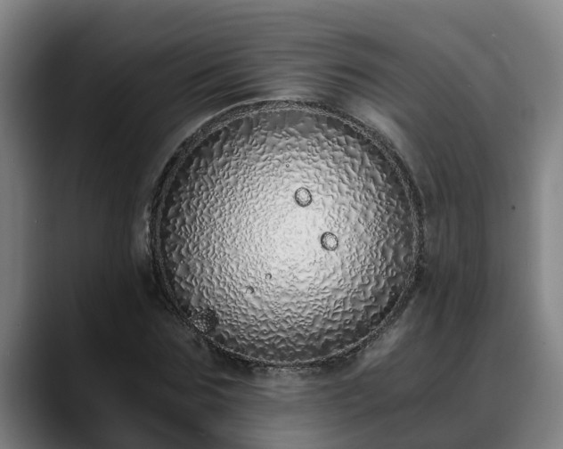 X0000088840875200706141537