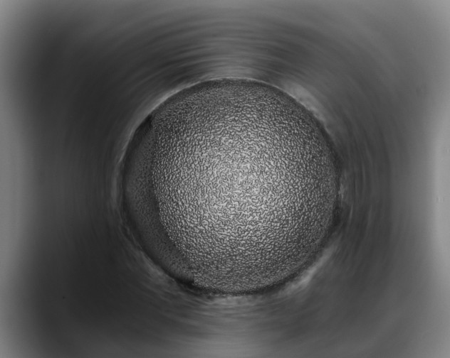 X0000088840877200706141537