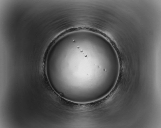 X0000088840879200706141537