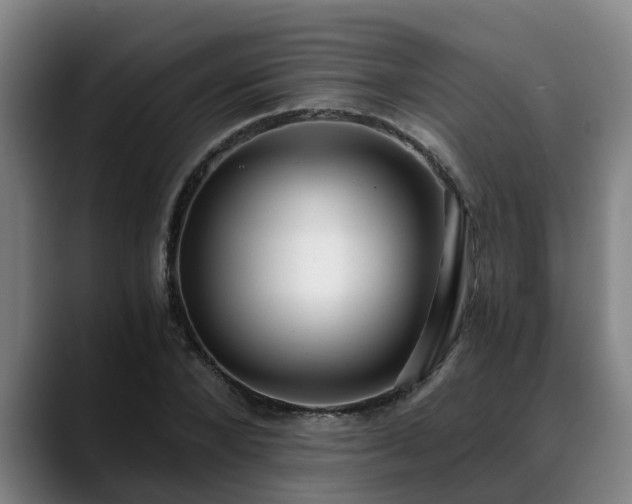 X0000088840880200706141537