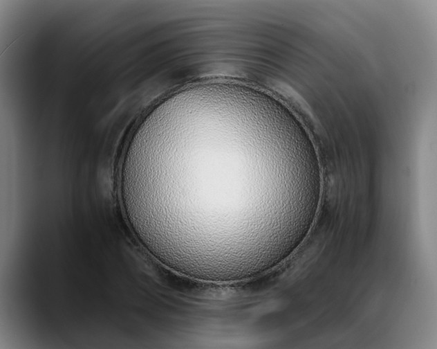 X0000088840882200706141537