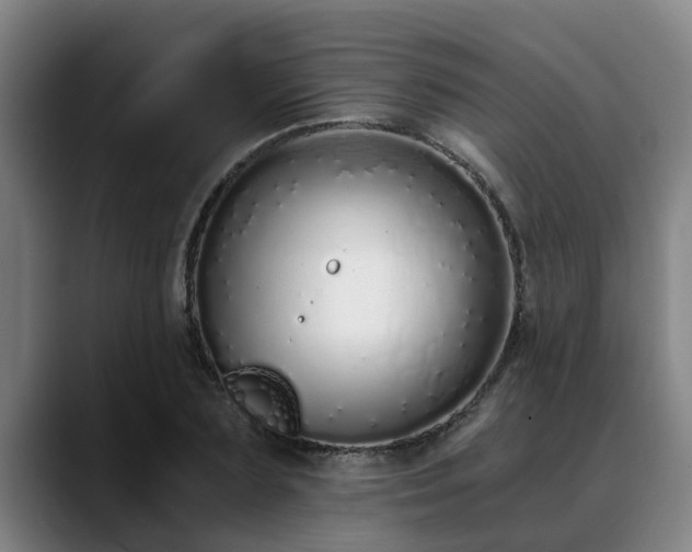 X0000088840883200706141537