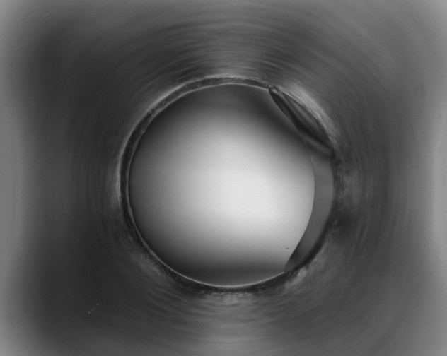 X0000088840884200706141537