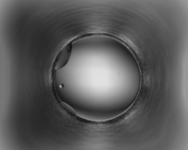 X0000088840885200706141537