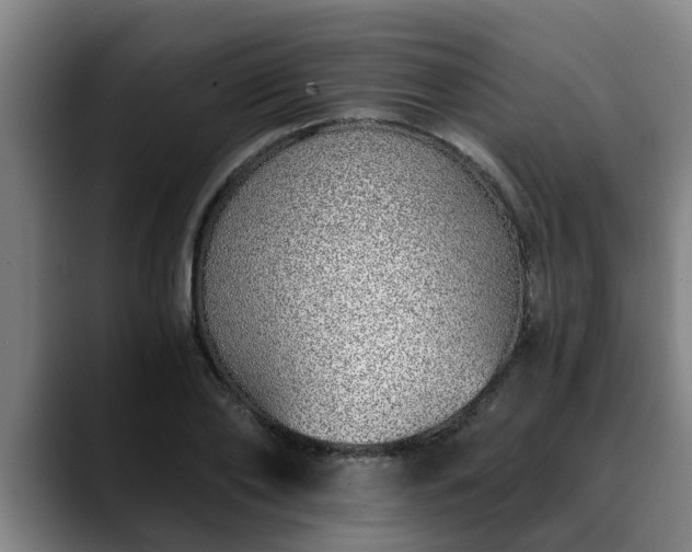 X0000088840886200706141537