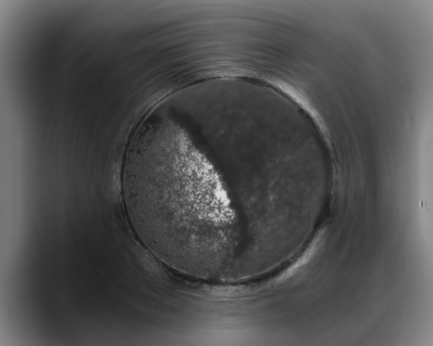 X0000088840889200706141537